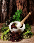 Ayurveda treatment tours in Sri Lanka